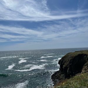 Meet your Posher, Sofia